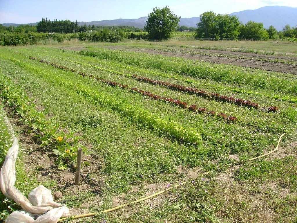 La Grange De Campaulise - Camping A La Ferme - Hebergements - Mont Ventoux Villa Mazan 0*,