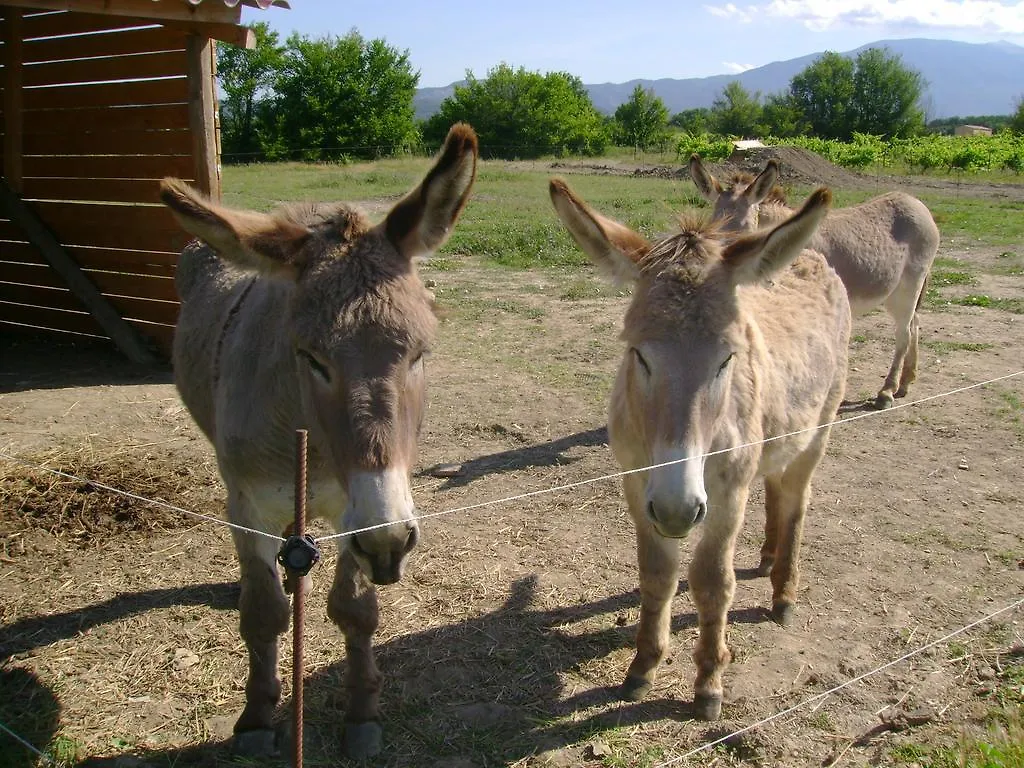 La Grange De Campaulise - Camping A La Ferme - Hebergements - Mont Ventoux Villa Mazan Vakantieboerderij